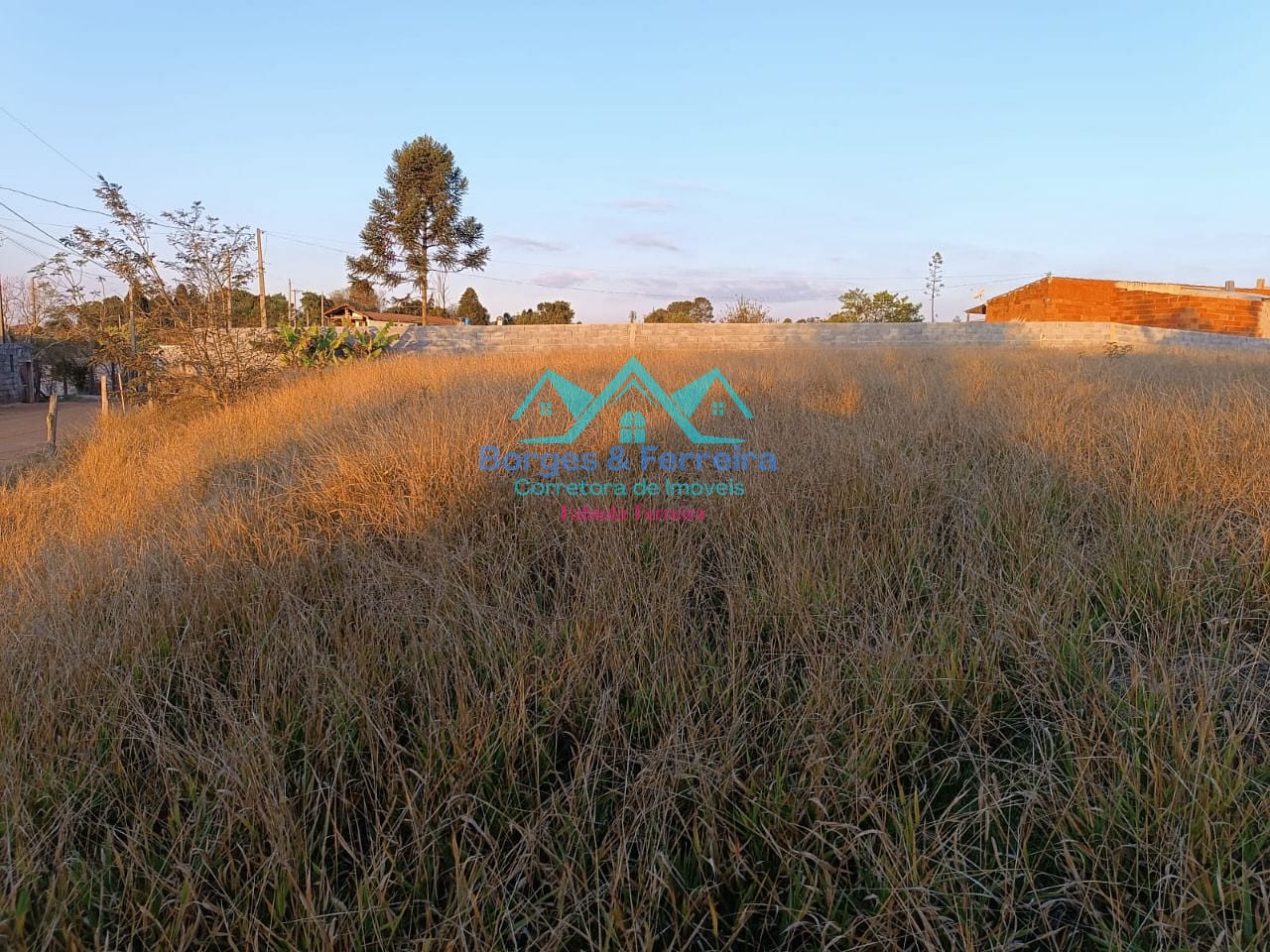 Terreno, 1500 m² - Foto 3