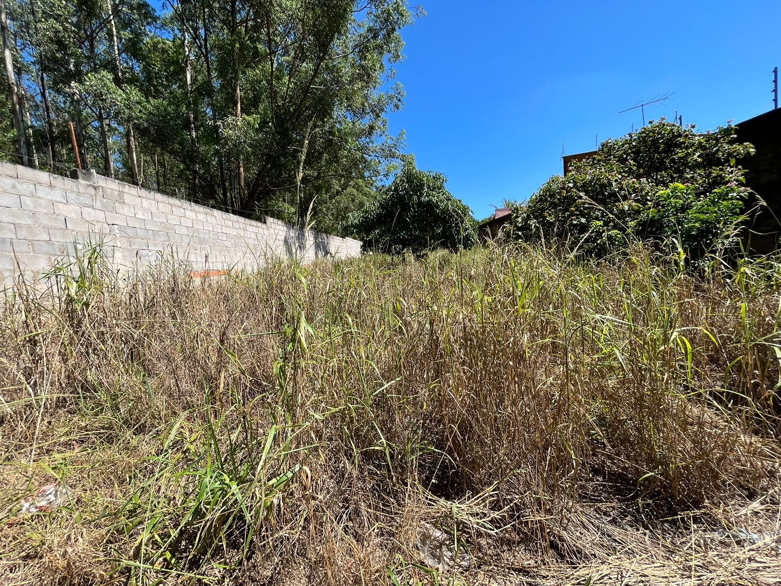 Terreno, 562 m² - Foto 2