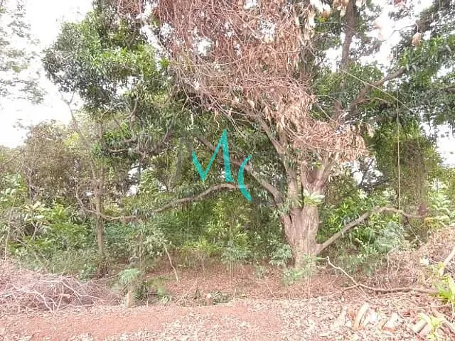 Terreno com 2400m², para alugar, no bairro Campo Grande em Rio de Janeiro