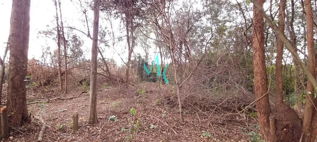Terreno, 2400 m² - Foto 1