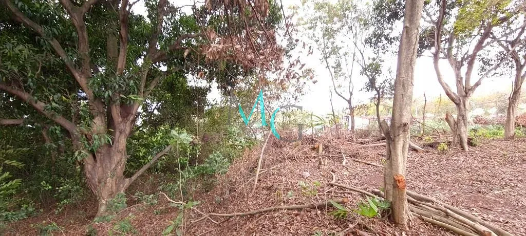 Terreno, 2400 m² - Foto 3