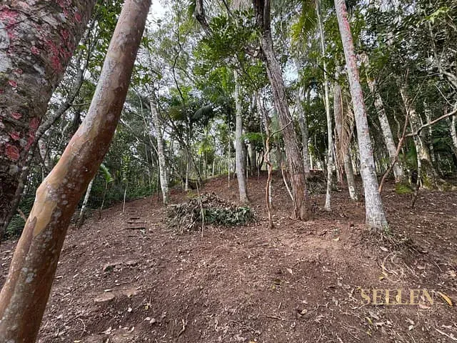 Terreno com 13000m², à venda, no bairro São Judas Tadeu em Balneário Camboriú
