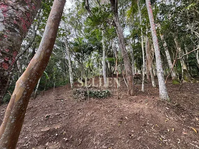Terreno com 13000m², à venda, no bairro São Judas Tadeu em Balneário Camboriú