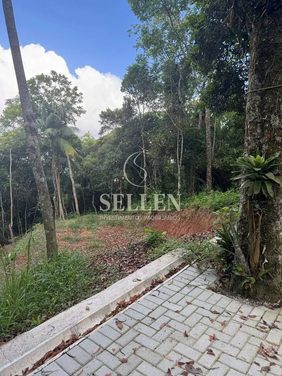 Terreno, 1 hectares - Foto 1