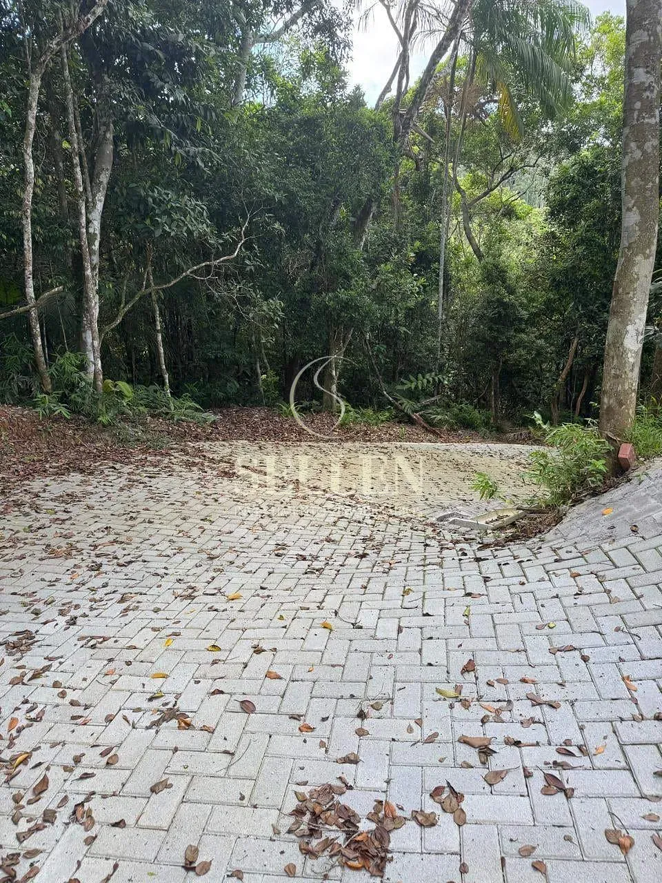 Terreno, 1 hectares - Foto 6