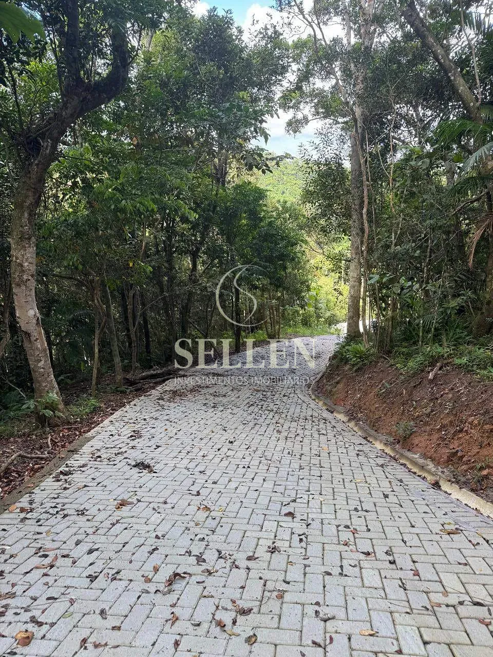 Terreno, 1 hectares - Foto 8