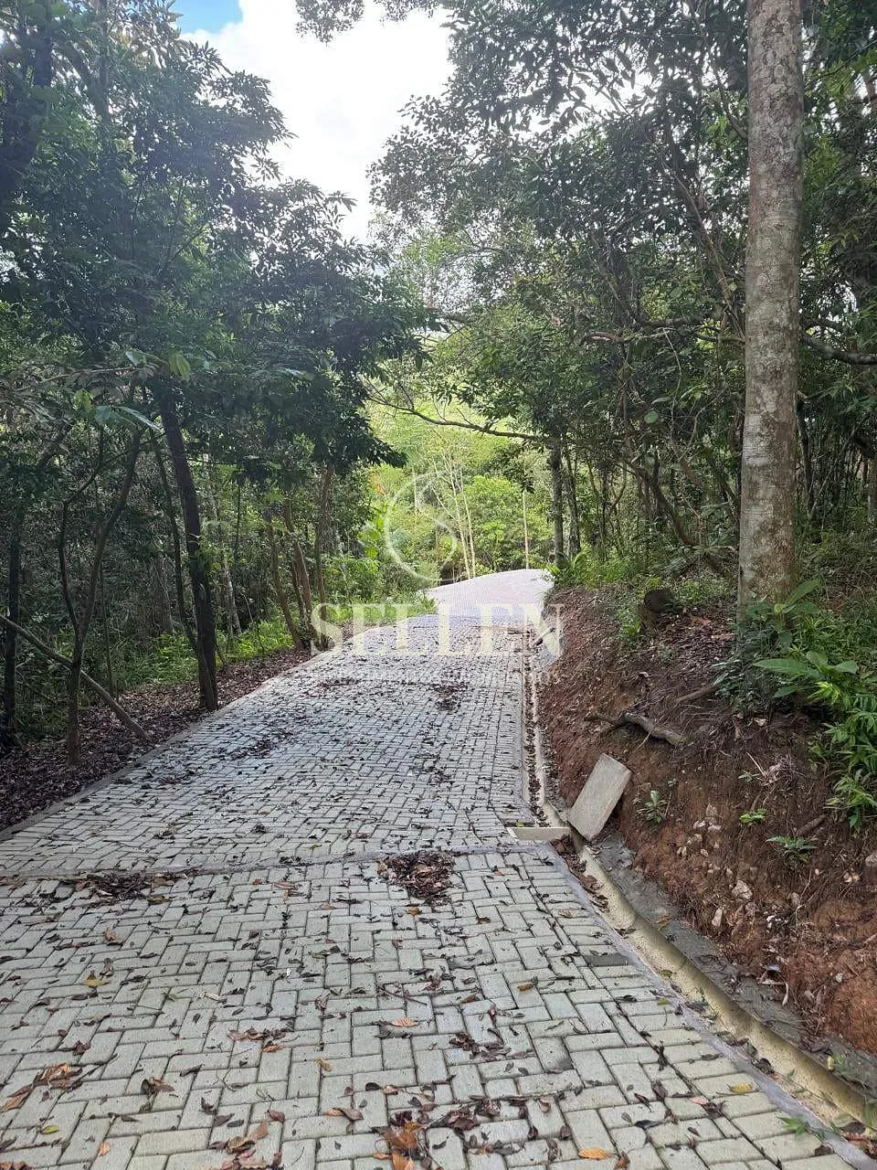 Terreno, 1 hectares - Foto 9
