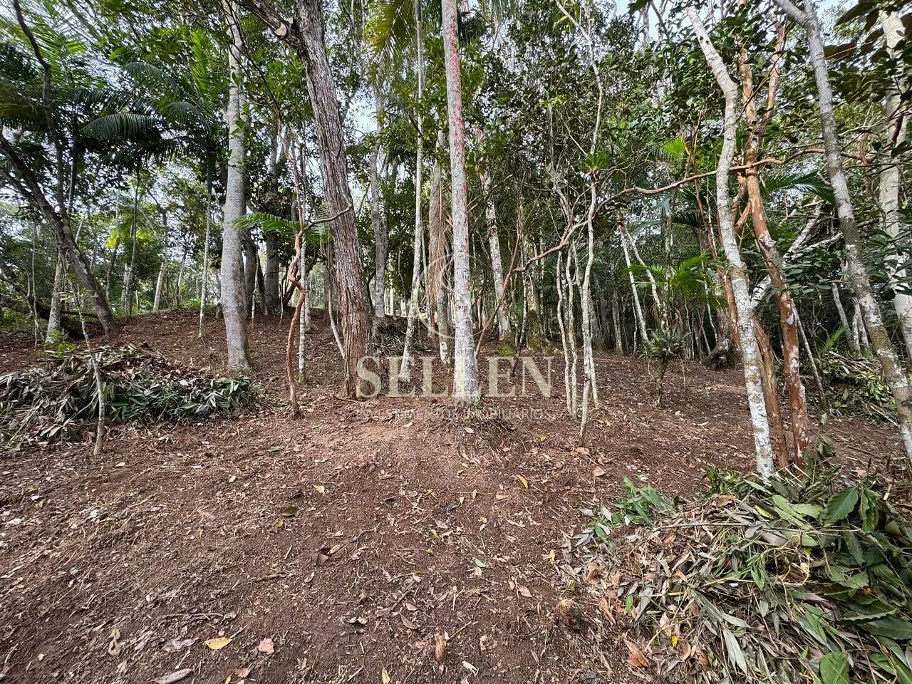 Terreno, 1 hectares - Foto 19