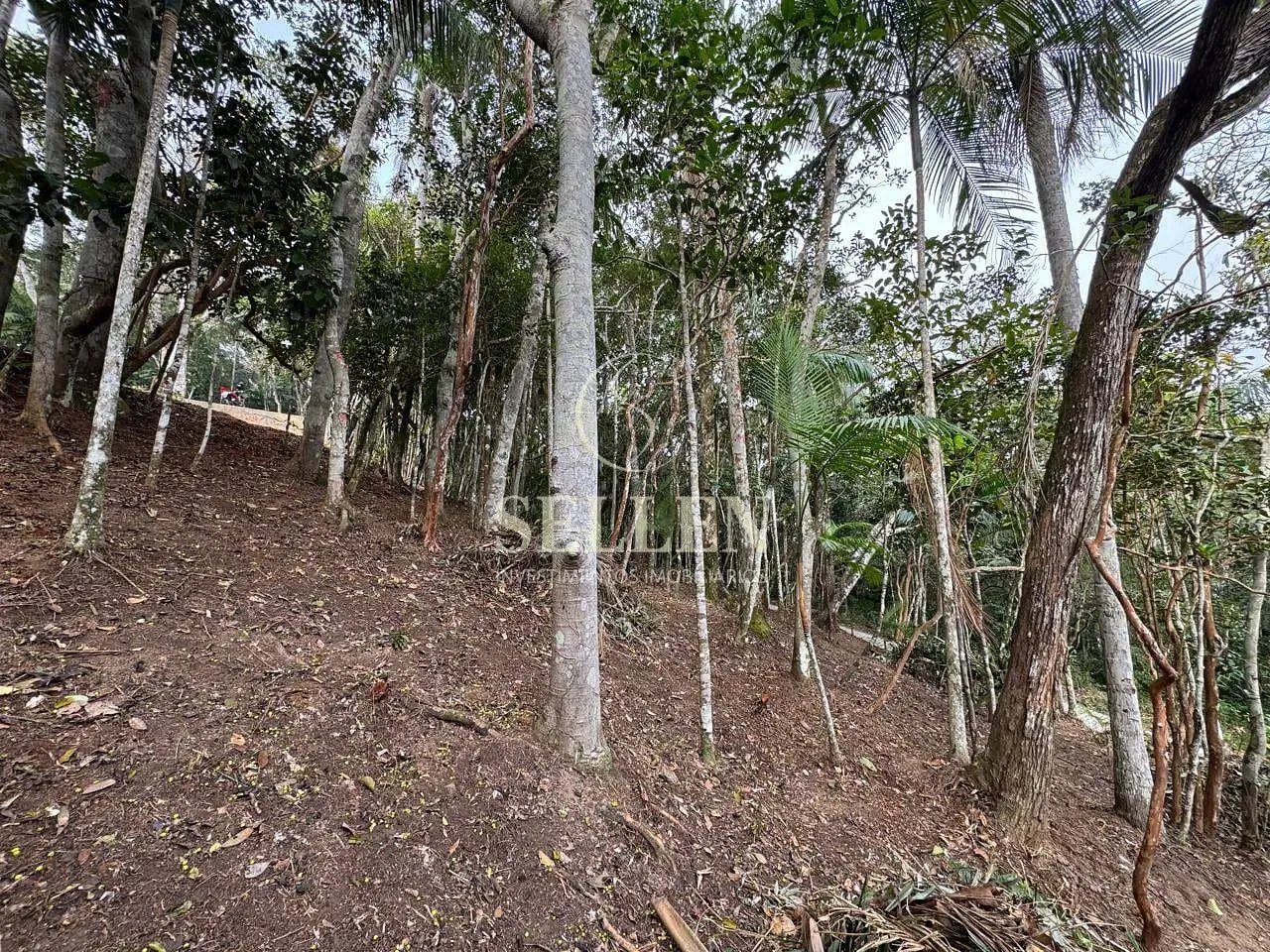 Terreno, 1 hectares - Foto 20
