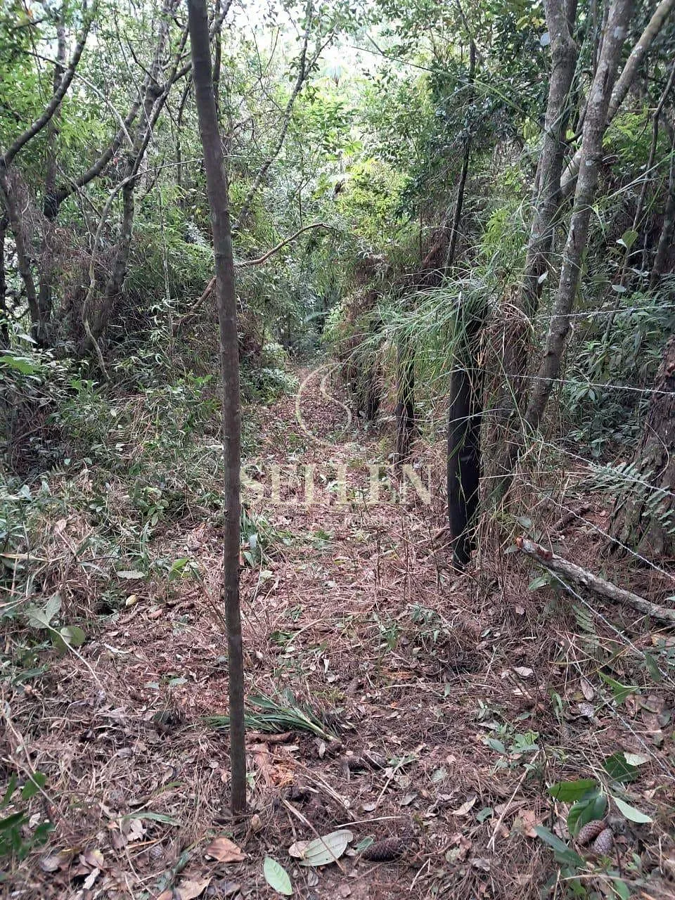 Terreno, 1 hectares - Foto 21