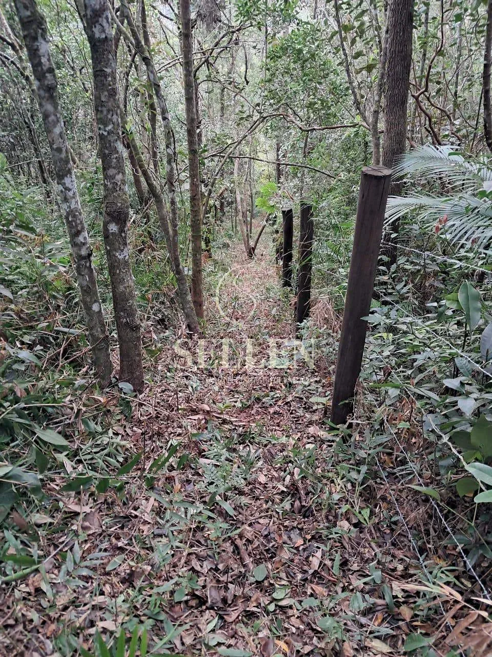 Terreno, 1 hectares - Foto 22