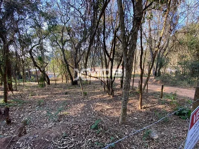 Terreno com 774m², à venda, no bairro Campo Largo em Jarinu