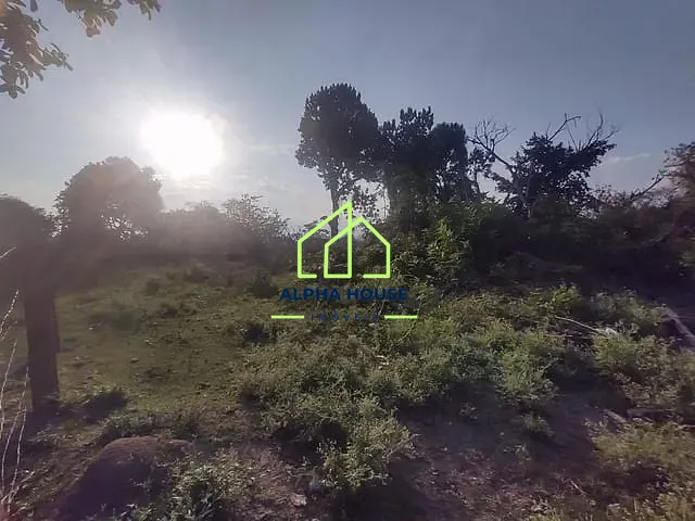 Terreno com 2800m², à venda, no bairro Vila São Benedito em Pindamonhangaba