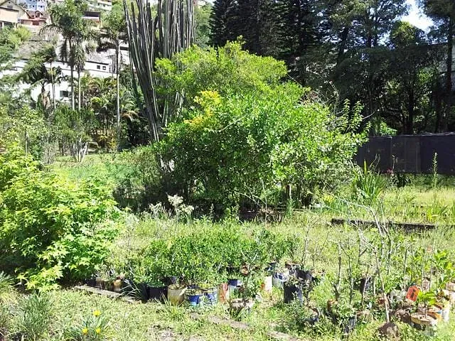 Terreno com 4225m², à venda, no bairro QUISSAMA em Petropolis