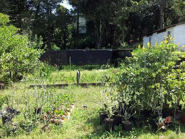 Terreno com 4225m², à venda, no bairro QUISSAMA em Petropolis