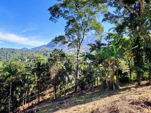 Terreno com 3132m², à venda, no bairro Fazendinha (Penedo) em Itatiaia