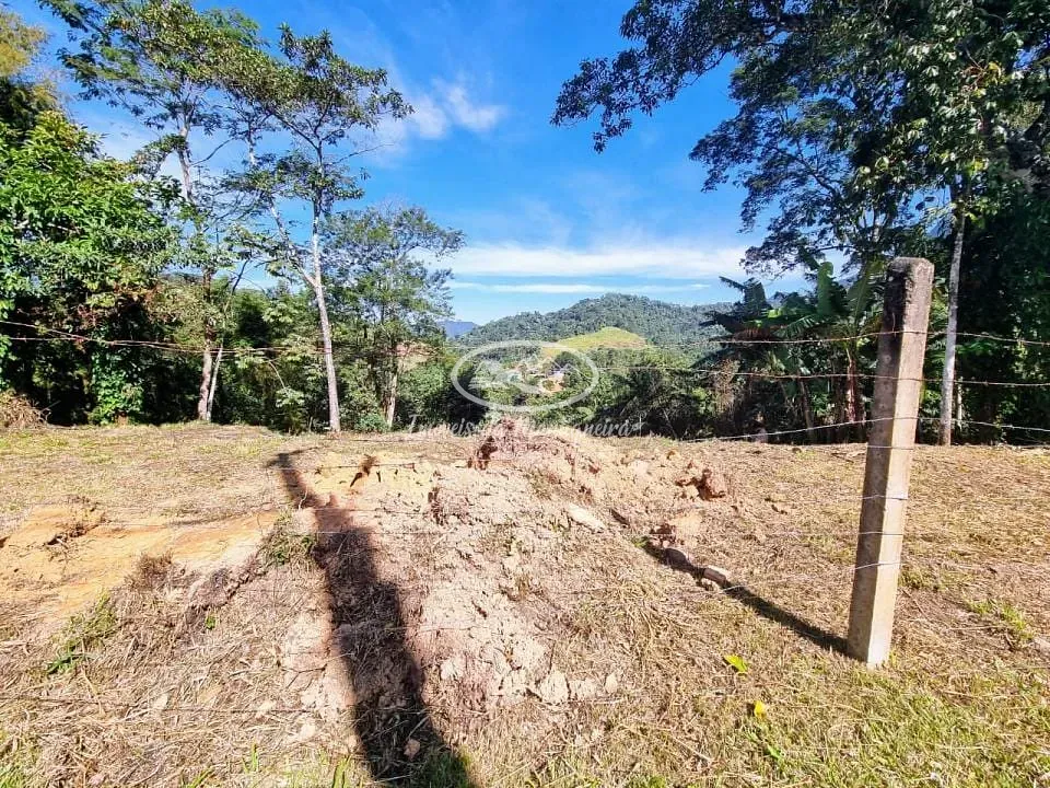 Terreno, 3132 m² - Foto 3