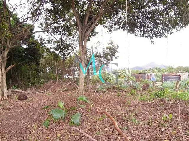 Terreno com 7364m², para alugar, no bairro Campo Grande em Rio de Janeiro