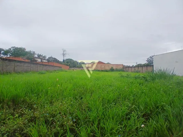 Terreno com 550m², para alugar, no bairro City Ribeirão em Ribeirão Preto