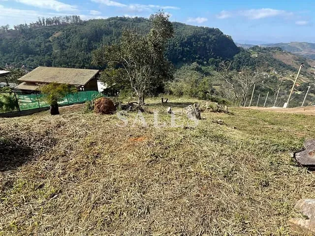 Terreno com 1604m², à venda, no bairro Novo Horizonte em Juiz de Fora