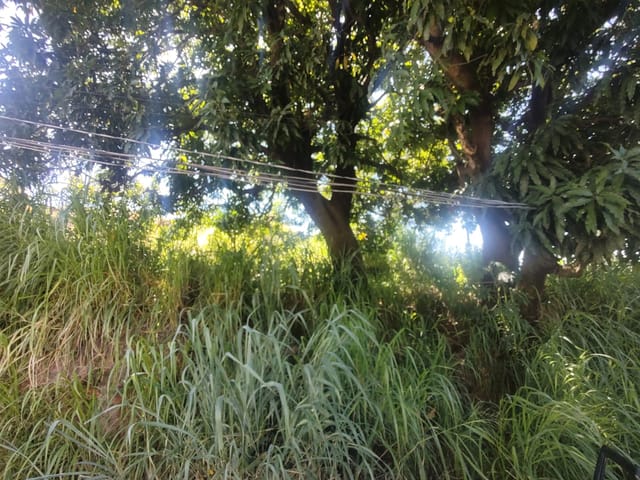 Terreno com 5m², à venda, no bairro Monte Azul em Belo Horizonte