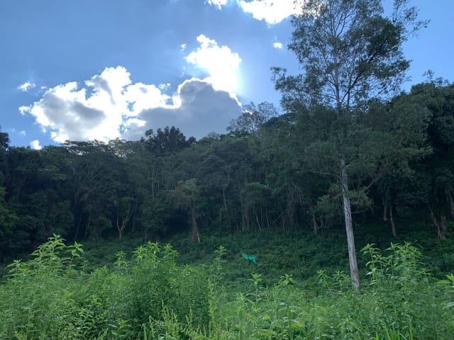 Terreno com 38000m², à venda, no bairro Salto em Extrema