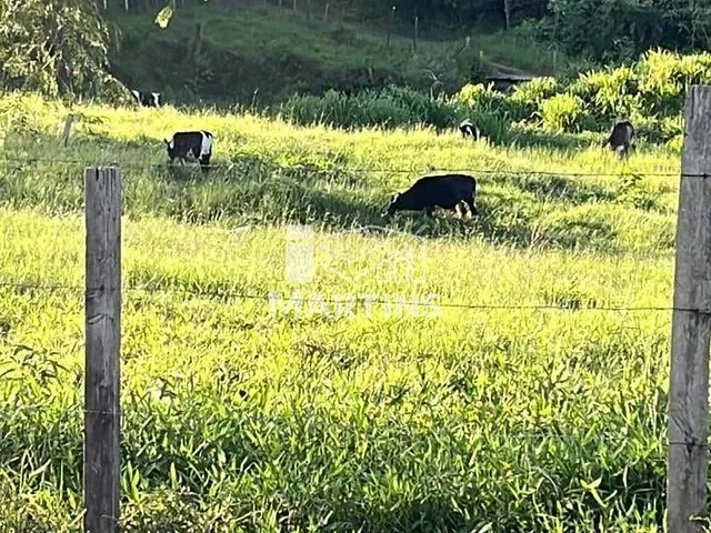 Terreno com 22163m², à venda, no bairro Bofete em Bofete
