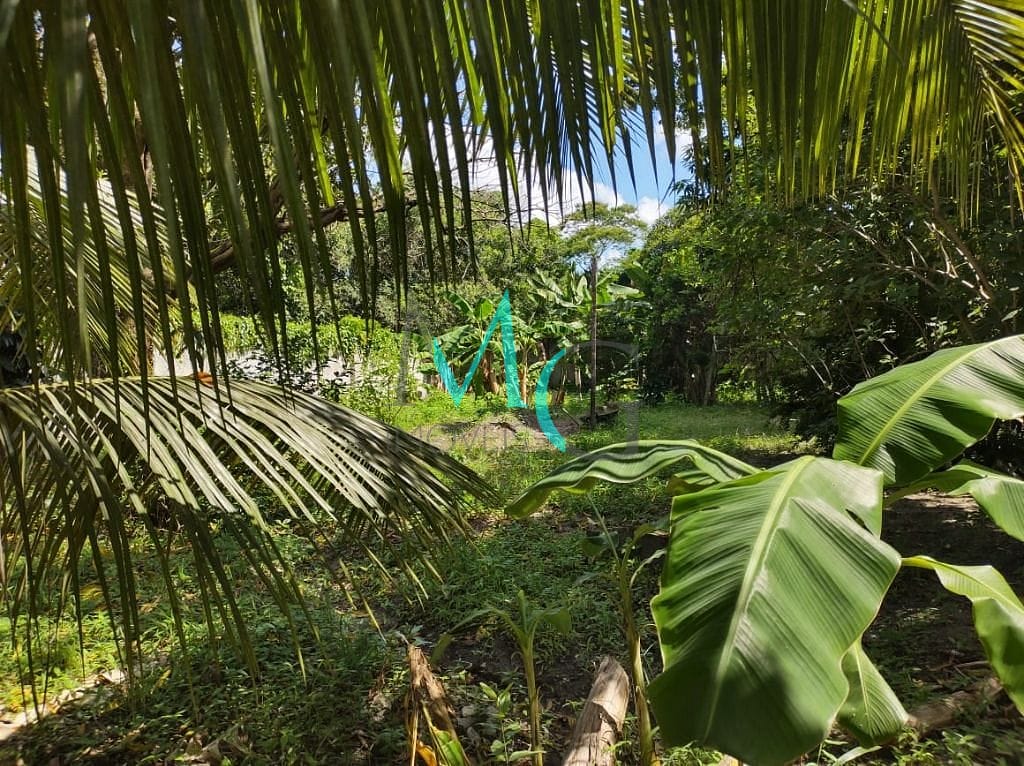 Terreno, 7339 m² - Foto 6