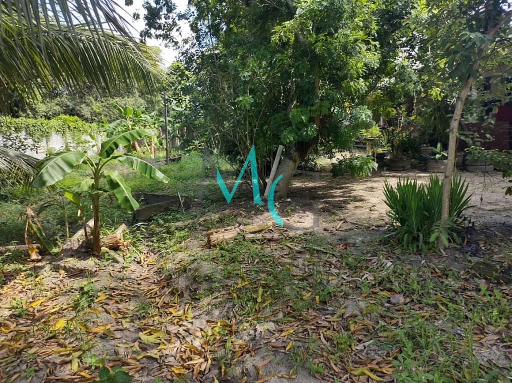 Terreno, 7339 m² - Foto 7