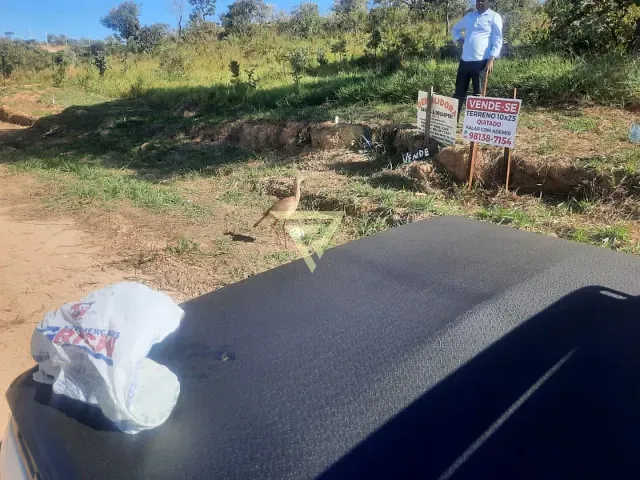 Terreno com 250m², à venda, no bairro Sao Jose Da Barra em São José da Barra