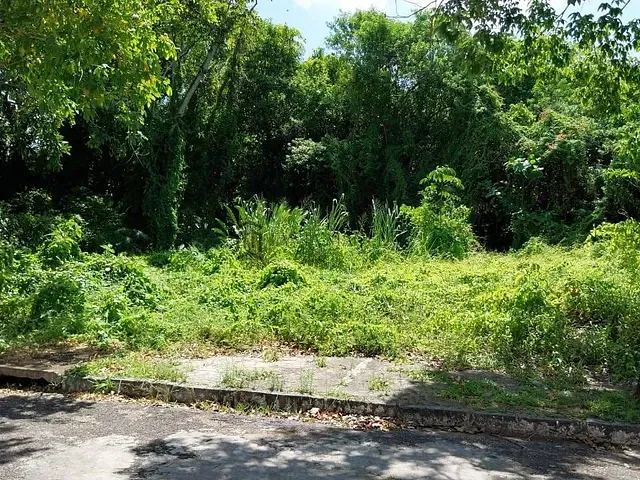 Terreno com 1928m², à venda, no bairro Apipucos em Recife