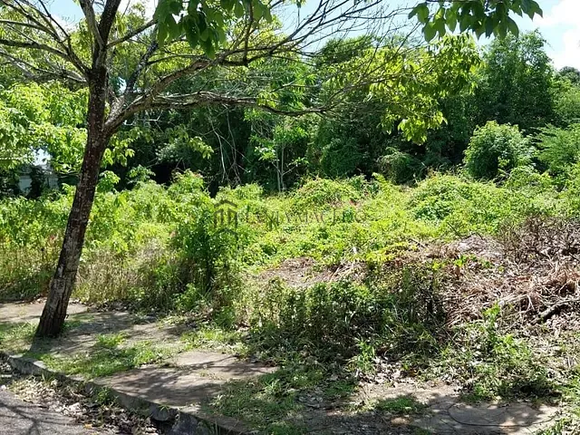 Terreno com 1928m², à venda, no bairro Apipucos em Recife
