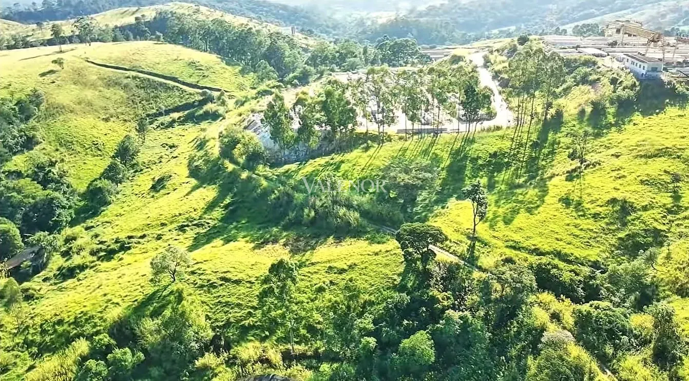 Terreno, 21 hectares - Foto 12