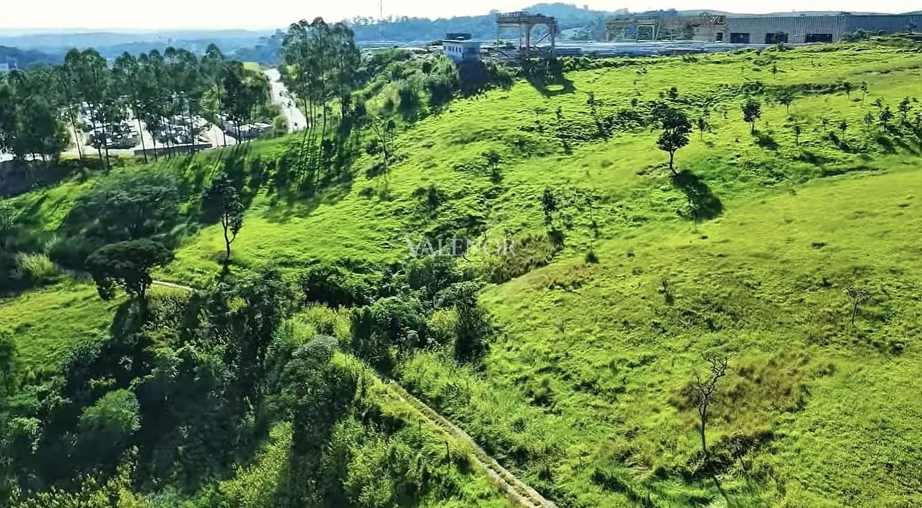 Terreno, 21 hectares - Foto 14