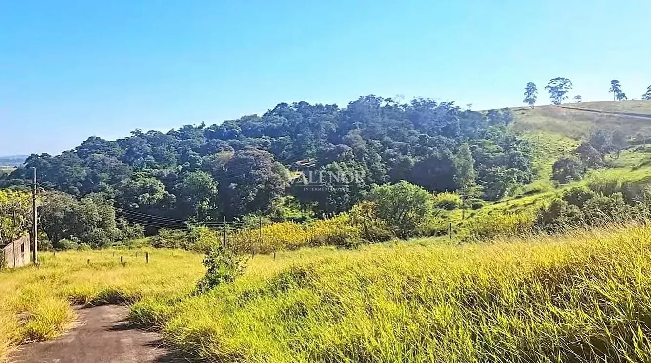 Terreno, 21 hectares - Foto 11