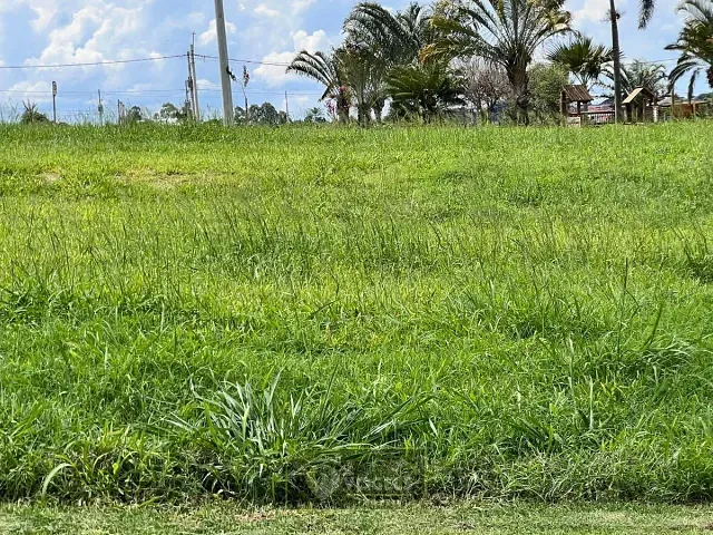 Terreno com 263m², à venda, no bairro Florabella II em Holambra