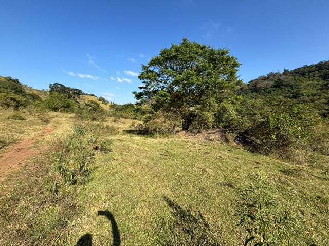 Terreno com 20000m², à venda, no bairro Cambuí em Cambuí