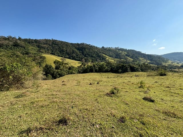 Terreno com 20000m², à venda, no bairro Cambuí em Cambuí