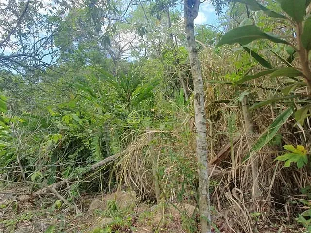 Terreno com 3000m², à venda, no bairro Vila Pinheiro em Itatiaia