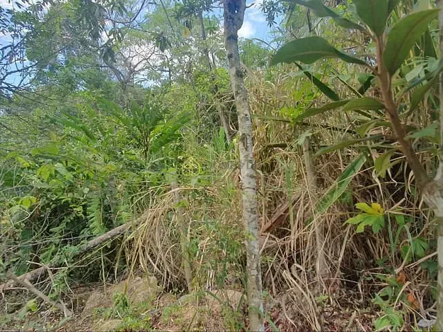 Terreno com 3000m², à venda, no bairro Vila Pinheiro em Itatiaia