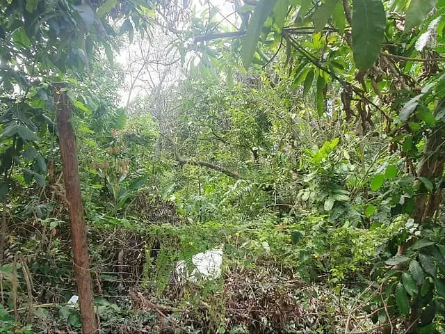 Terreno com 3000m², à venda, no bairro Vila Pinheiro em Itatiaia