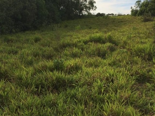 Terreno com 1000m², à venda, no bairro Jardim Gramado em Tatuí