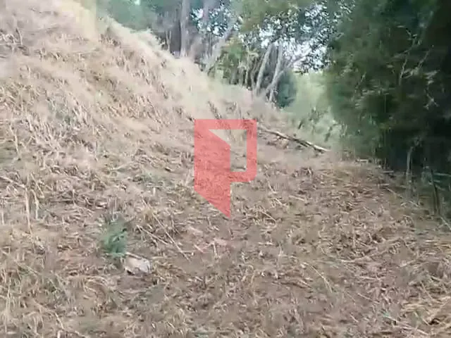Terreno com 23500m², à venda, no bairro São Benedito em Santa Luzia