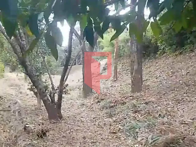Terreno com 23500m², à venda, no bairro São Benedito em Santa Luzia