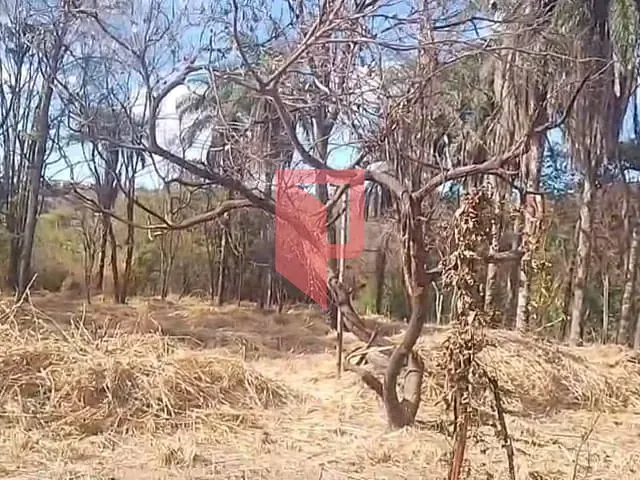 Terreno com 23500m², à venda, no bairro São Benedito em Santa Luzia