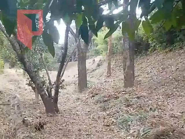 Terreno com 23500m², à venda, no bairro São Benedito em Santa Luzia