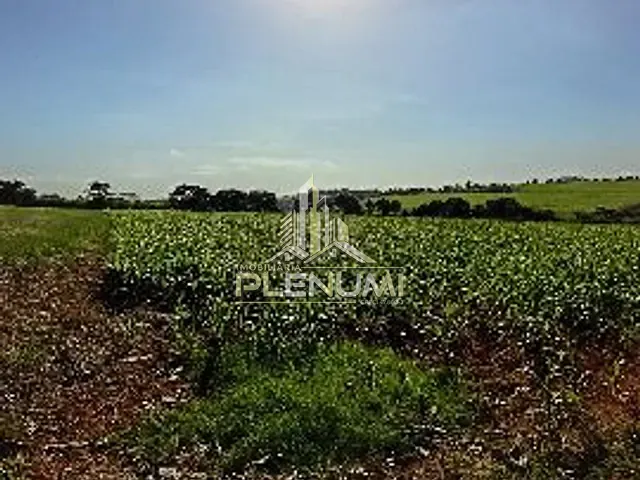 Terreno com 47709m², à venda, no bairro Lopes em Limeira