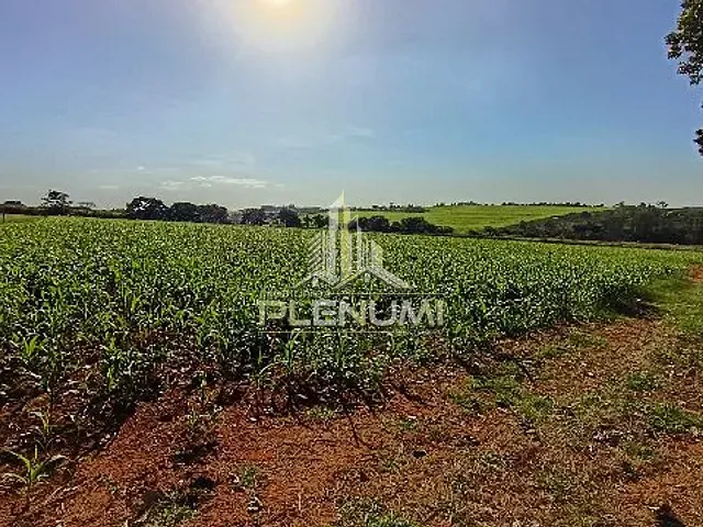 Terreno com 47709m², à venda, no bairro Lopes em Limeira