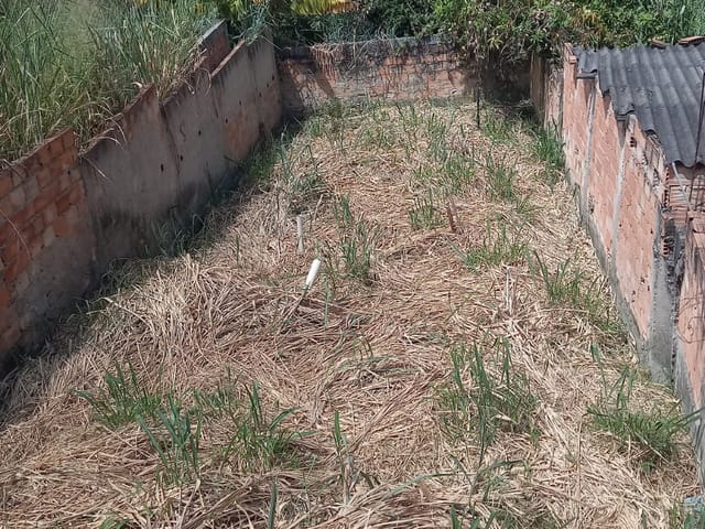 Terreno com 150m², à venda, no bairro Novo Tupi em Belo Horizonte