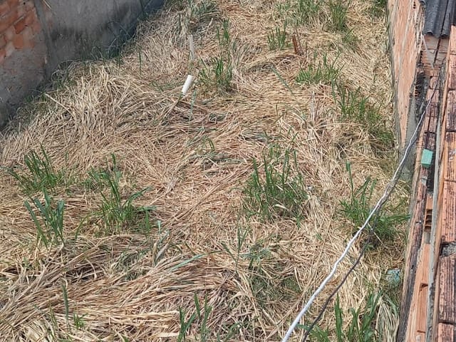 Terreno com 150m², à venda, no bairro Novo Tupi em Belo Horizonte